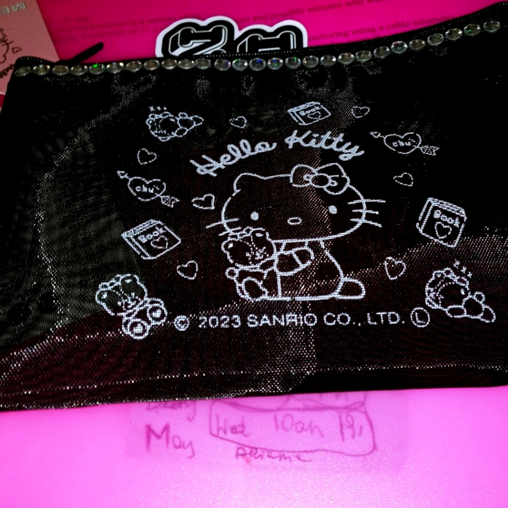 Hello Kitty Cosmetics Bag